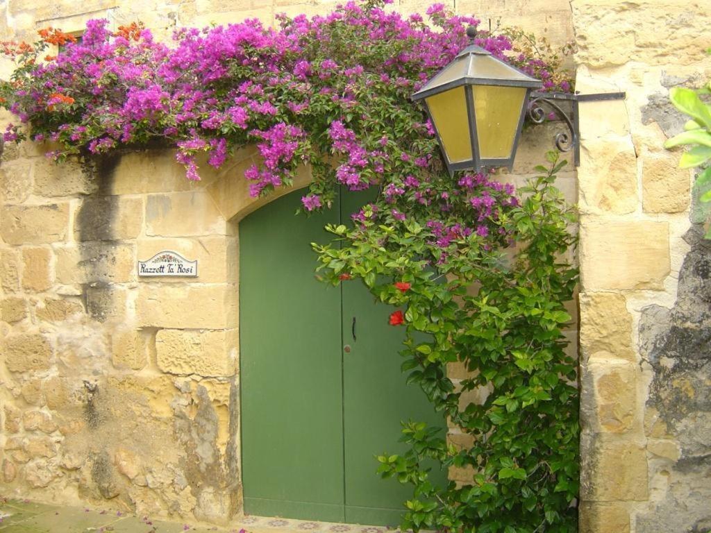 "Steves Villas" Villa Ta Rosi Xagħra الغرفة الصورة